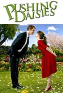 Pushing Daisies